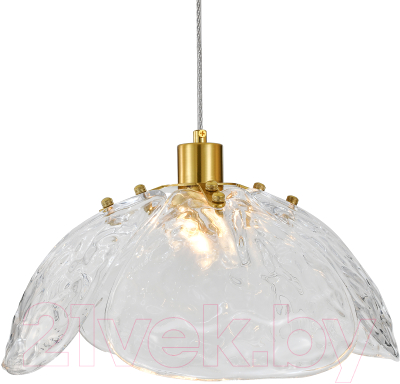 Потолочный светильник Indigo Light Amore V000519