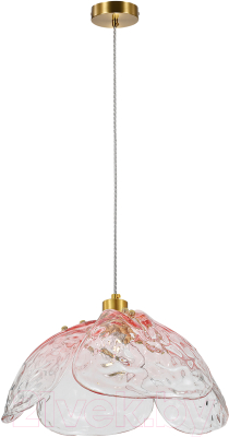 Потолочный светильник Indigo Light Amore V000520 - фото