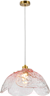 Потолочный светильник Indigo Light Amore V000520