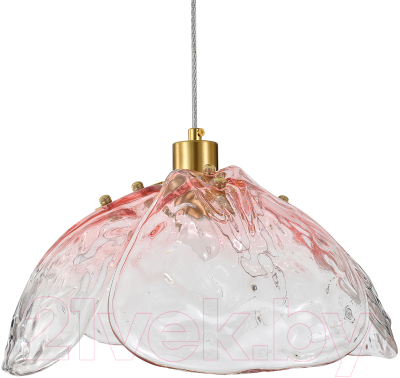 Потолочный светильник Indigo Light Amore V000520