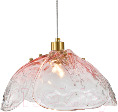 Потолочный светильник Indigo Light Amore V000520