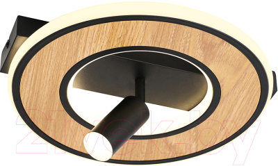 Потолочный светильник F-Promo 4438-1C - фото