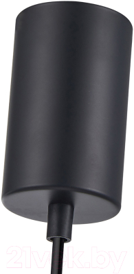 Потолочный светильник F-Promo 4366-1P