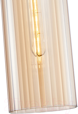 Потолочный светильник F-Promo 4362-1P