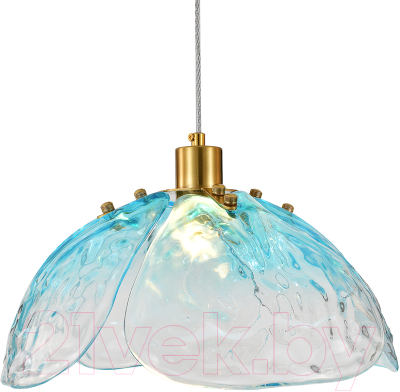 Потолочный светильник Indigo Light Amore V000521