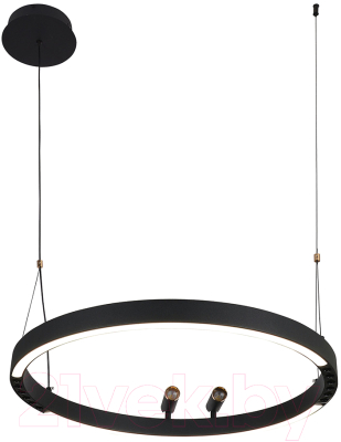 Люстра F-Promo 4474-1P