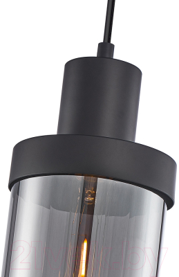 Потолочный светильник F-Promo 4364-1P