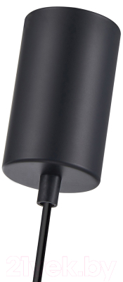 Потолочный светильник F-Promo 4364-1P