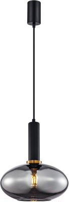 Потолочный светильник F-Promo 4359-1P - фото