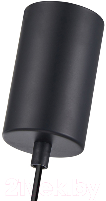 Потолочный светильник F-Promo 4359-1P