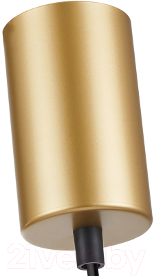 Потолочный светильник F-Promo 4368-1P