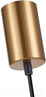 Потолочный светильник F-Promo 4341-1P