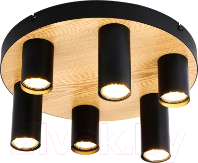 Люстра F-Promo 4431-6U - фото