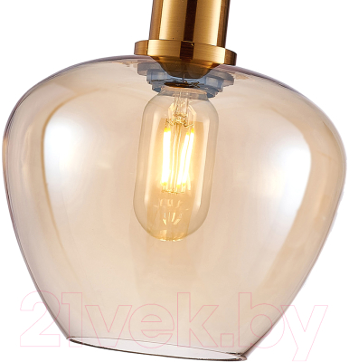 Потолочный светильник F-Promo 4356-1P