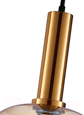 Потолочный светильник F-Promo 4356-1P