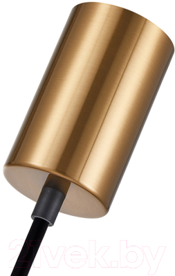 Потолочный светильник F-Promo 4356-1P