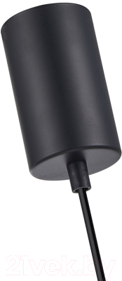 Потолочный светильник F-Promo 4340-1P