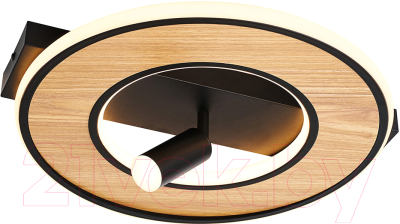 Потолочный светильник F-Promo 4438-2C - фото