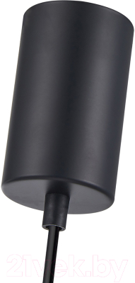 Потолочный светильник F-Promo 4342-1P