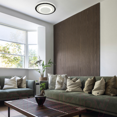 Потолочный светильник F-Promo 4432-1C