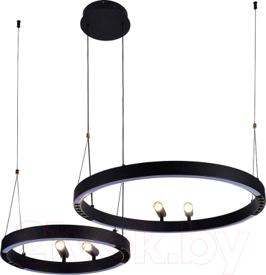 Люстра F-Promo 4474-2P - фото