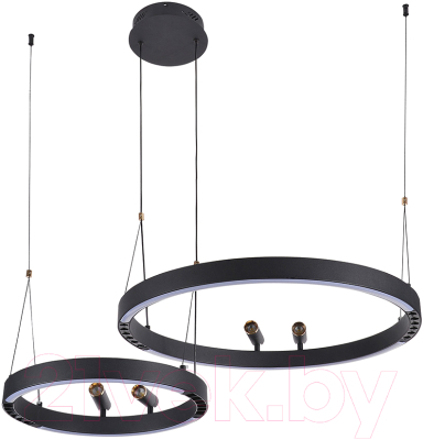 Люстра F-Promo 4474-2P