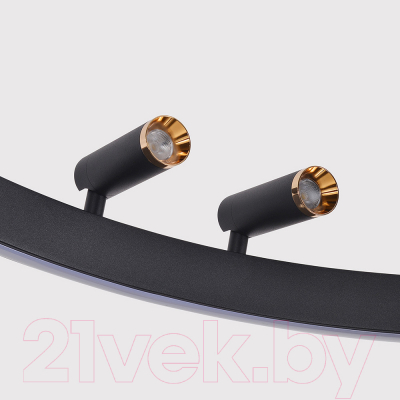 Люстра F-Promo 4474-2P