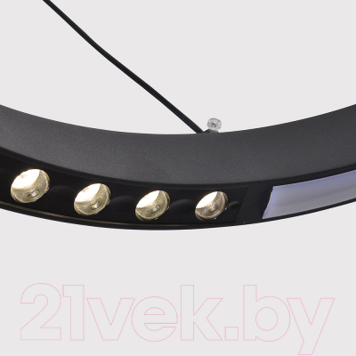 Люстра F-Promo 4474-2P