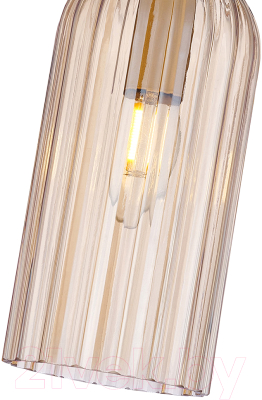 Потолочный светильник F-Promo 4365-1P