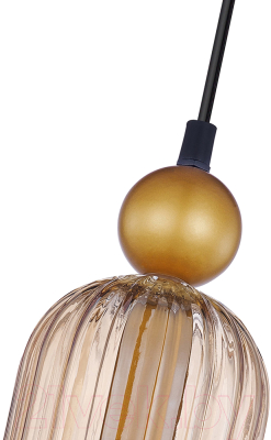 Потолочный светильник F-Promo 4365-1P