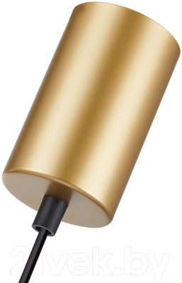 Потолочный светильник F-Promo 4365-1P