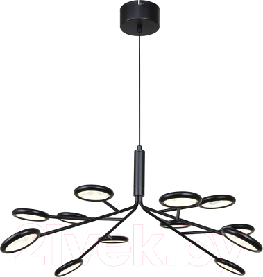 Люстра F-Promo 4252-12P - фото