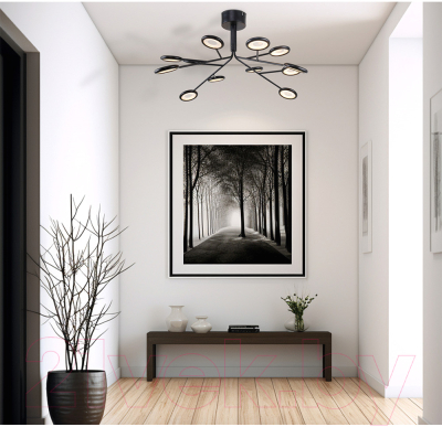 Люстра F-Promo 4252-12P