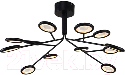 Люстра F-Promo 4252-12P