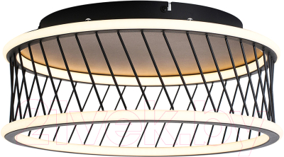 Потолочный светильник F-Promo 4436-2C - фото