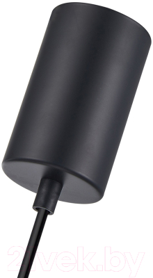 Потолочный светильник F-Promo 4349-1P