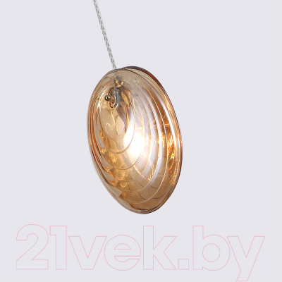 Потолочный светильник F-Promo 4485-1P