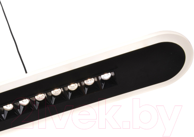 Потолочный светильник F-Promo 4473-2P