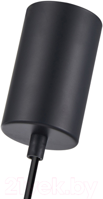 Потолочный светильник F-Promo 4351-1P