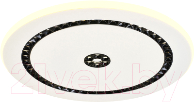 Потолочный светильник F-Promo 4433-1C - фото