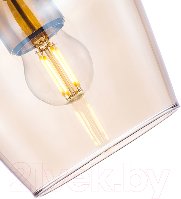 Потолочный светильник F-Promo 4339-1P