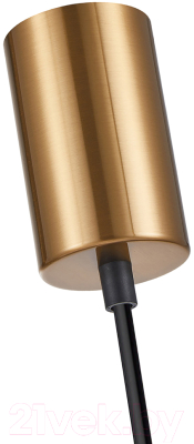 Потолочный светильник F-Promo 4339-1P