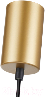 Потолочный светильник F-Promo 4350-1P