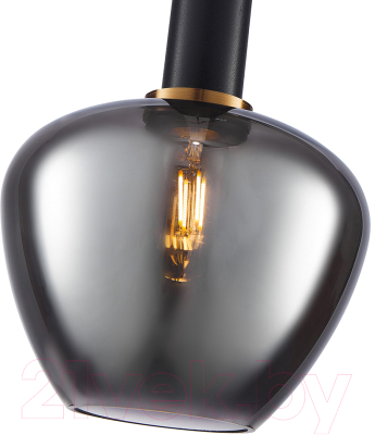 Потолочный светильник F-Promo 4357-1P