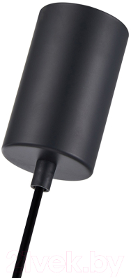 Потолочный светильник F-Promo 4357-1P