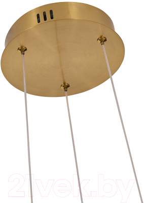 Потолочный светильник F-Promo 4470-3P