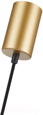 Потолочный светильник F-Promo 4343-1P