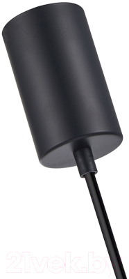 Потолочный светильник F-Promo 4355-1P