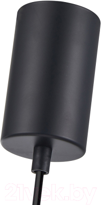 Потолочный светильник F-Promo 4347-1P