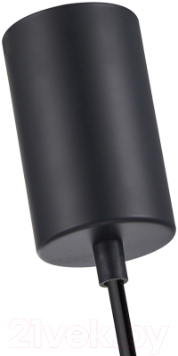 Потолочный светильник F-Promo 4367-1P